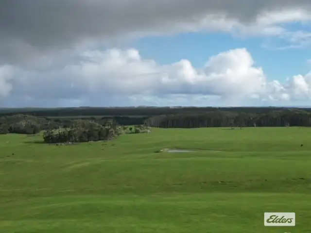 Fifth view of Homely rural property listing, 767 Mount Stanley Road, Lymwood TAS 7256