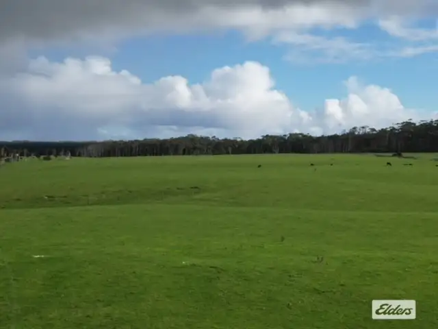 Sixth view of Homely rural property listing, 767 Mount Stanley Road, Lymwood TAS 7256