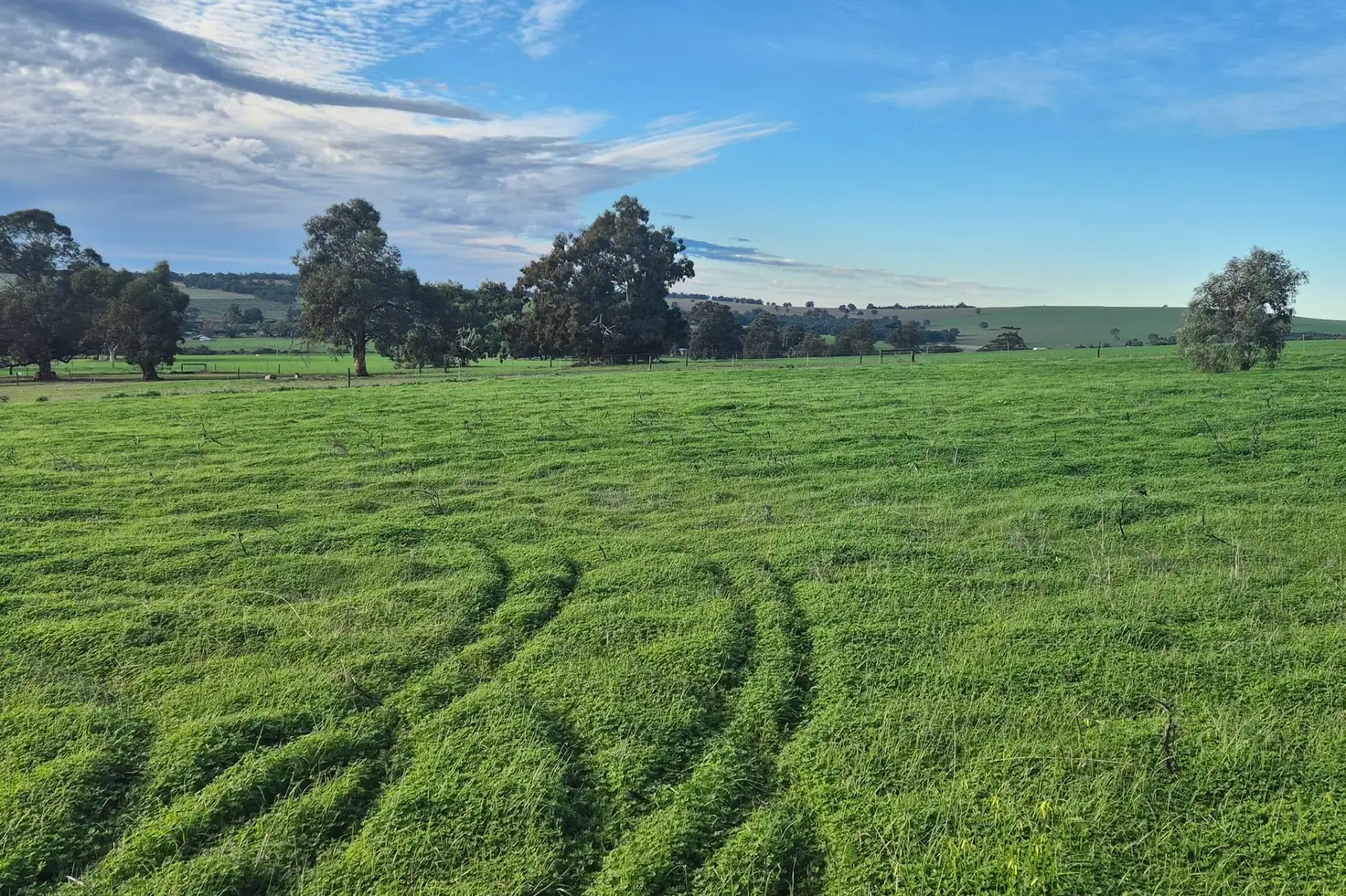 Main view of Homely land listing, LOT 79 Starbush Way, Ginginup WA 6503