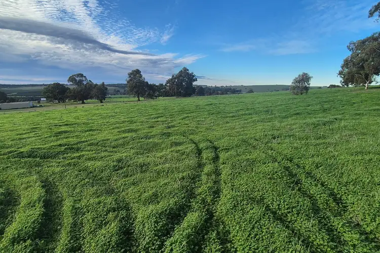 Third view of Homely land listing, LOT 79 Starbush Way, Ginginup WA 6503