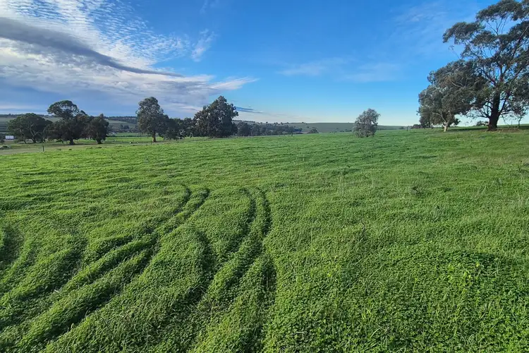 Fourth view of Homely land listing, LOT 79 Starbush Way, Ginginup WA 6503
