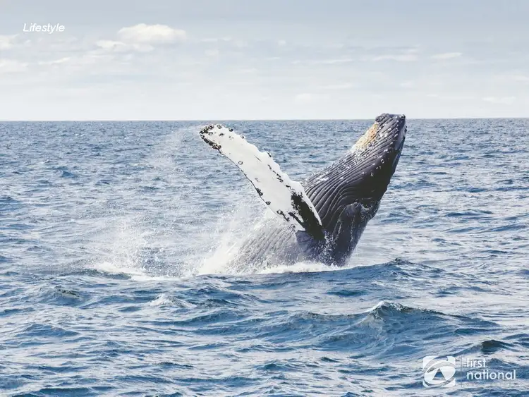 Third view of Homely land listing, LOT 601-619 Woopi Drive, Woolgoolga NSW 2456