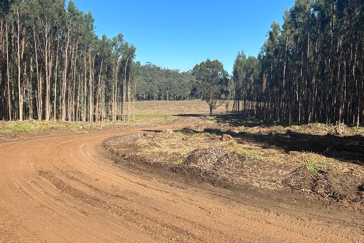 Main view of Homely rural property listing, 2465 Middleton Road, Northcliffe WA 6262