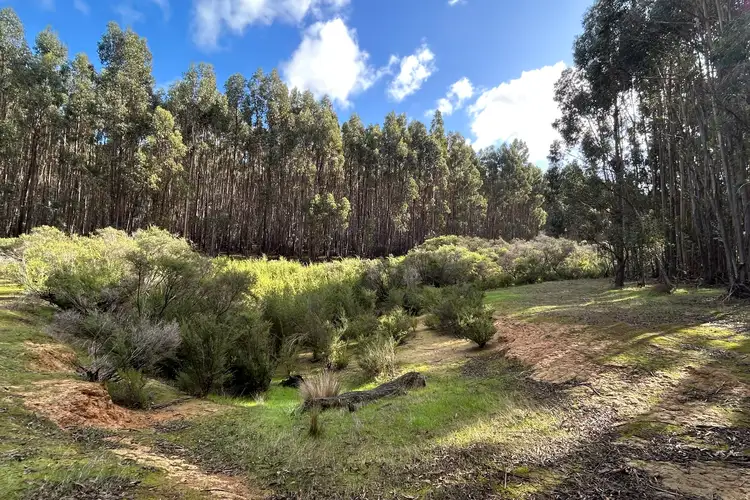Fourth view of Homely rural property listing, Lot 3 Bramley River Road, Osmington WA 6285