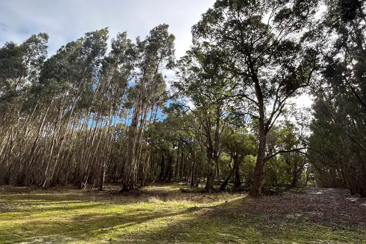 Sixth view of Homely rural property listing, Lot 3 Bramley River Road, Osmington WA 6285