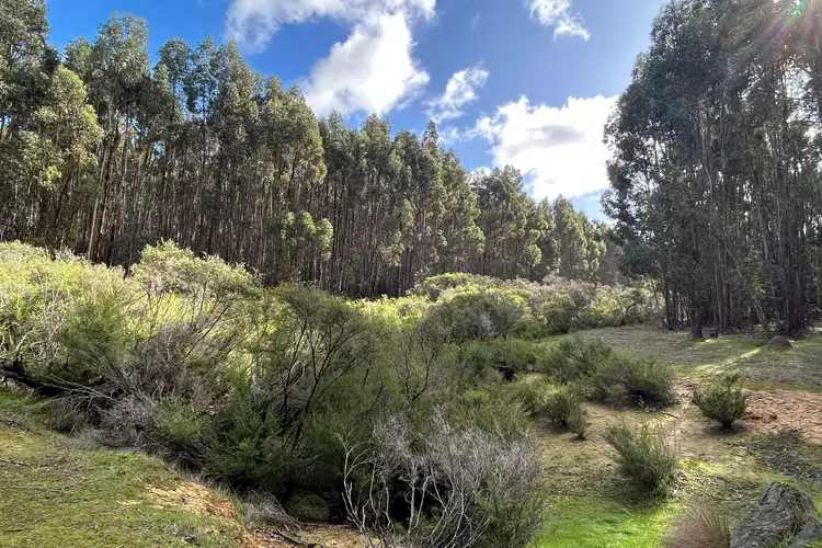 Seventh view of Homely rural property listing, Lot 3 Bramley River Road, Osmington WA 6285