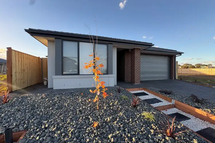 Main view of Homely house listing, 19 Angelica Circuit, Fraser Rise VIC 3336
