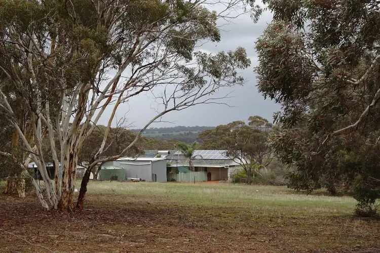 Main view of Homely rural property listing, 857 Dwelyerdine Road, Toolibin WA 6312