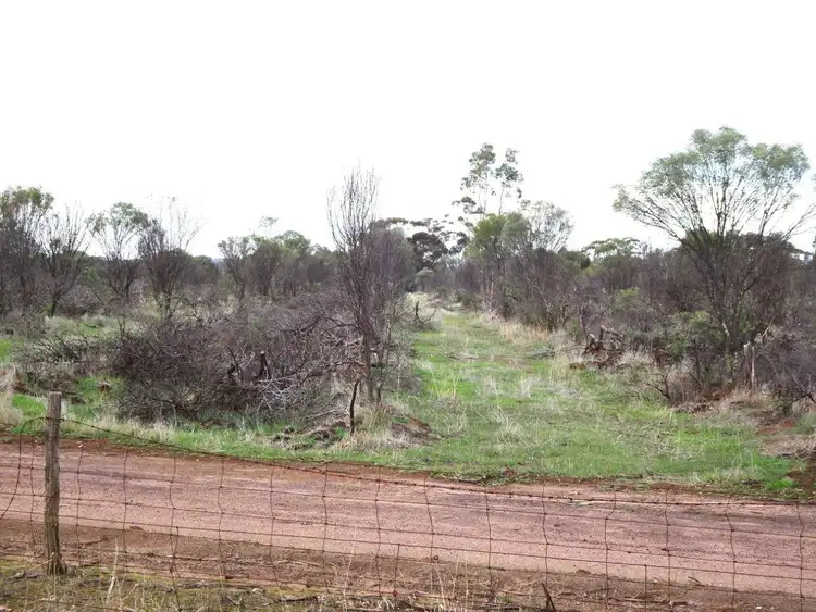 Second view of Homely rural property listing, 857 Dwelyerdine Road, Toolibin WA 6312