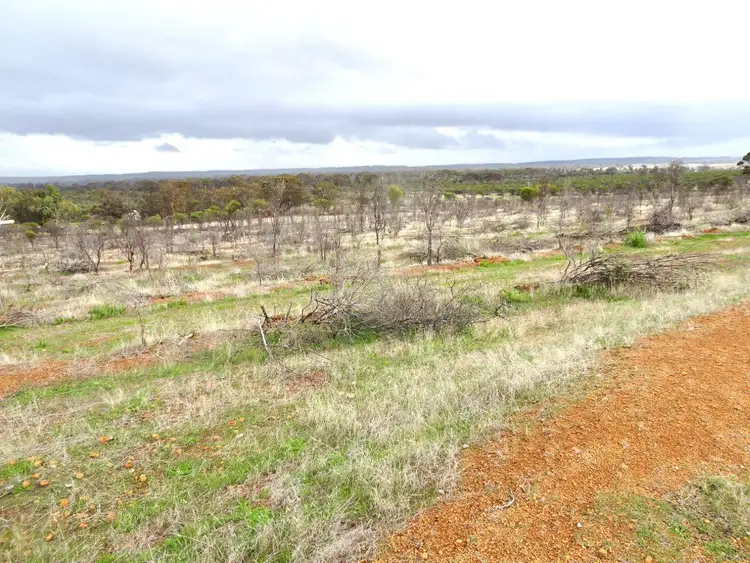 Fourth view of Homely rural property listing, 857 Dwelyerdine Road, Toolibin WA 6312