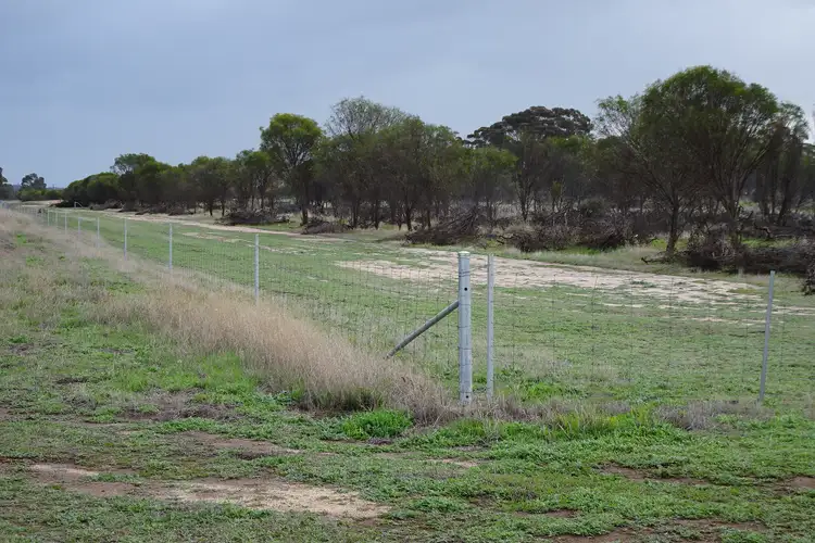 Fifth view of Homely rural property listing, 857 Dwelyerdine Road, Toolibin WA 6312