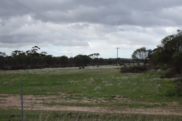 Sixth view of Homely rural property listing, 857 Dwelyerdine Road, Toolibin WA 6312