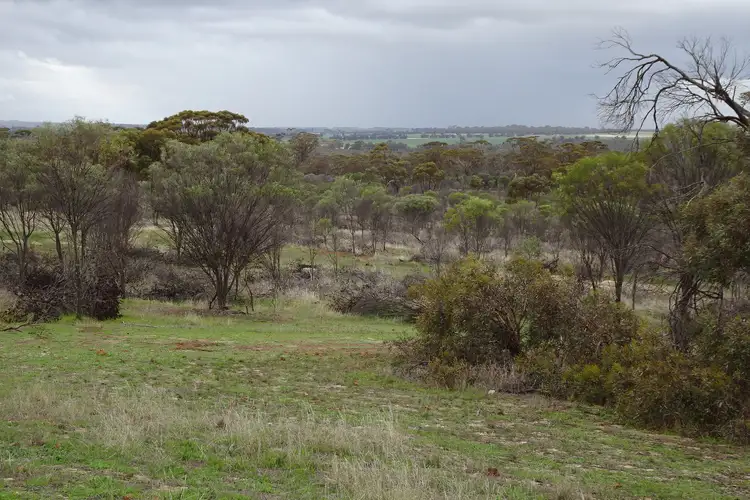 Seventh view of Homely rural property listing, 857 Dwelyerdine Road, Toolibin WA 6312