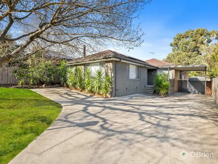 5 Lorikeet Court