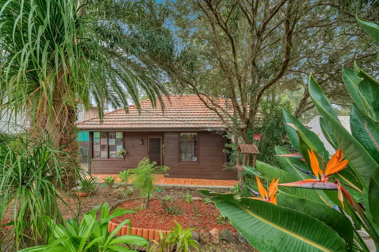 46 Carolyn Street, Adamstown Heights NSW 2289