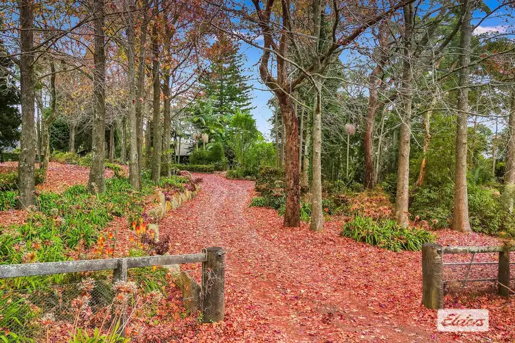 Second view of Homely house listing, 234 Forest Road, Kulnura NSW 2250