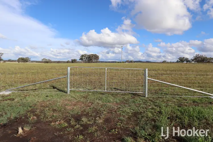 Main view of Homely land listing, 411 Auburn Vale Road, Inverell NSW 2360