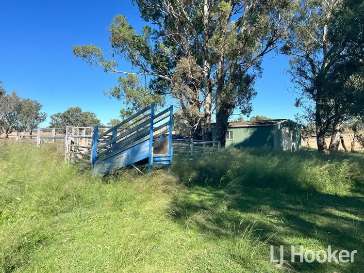 Seventh view of Homely rural property listing, 1263 Copeton Dam Road, Gum Flat NSW 2360