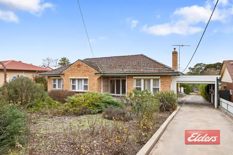 29 Jane Street, Willaston SA 5118