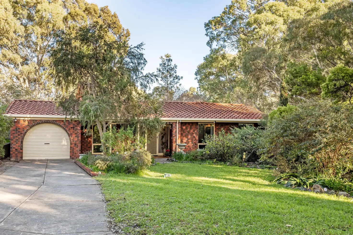 Main view of Homely house listing, 11 Lorenz Court, Athelstone SA 5076