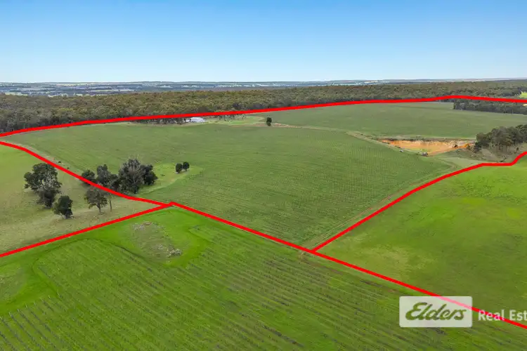 Sixth view of Homely rural property listing, Lot 226 &/248 Wagner Road, Scotts Brook WA 6244