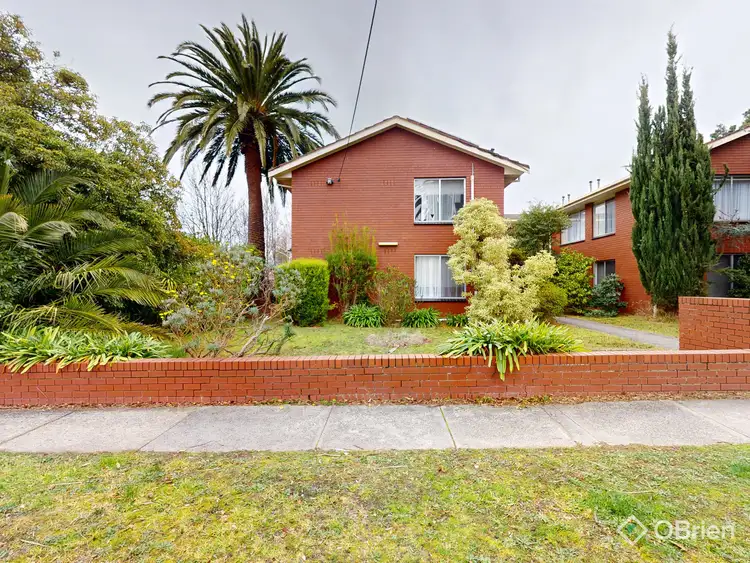 Main view of Homely unit listing, 3/12 Vine Street, Blackburn VIC 3130