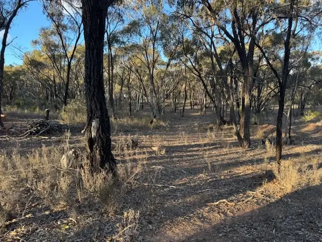 LOT 2LP Josephine Drive, Wedderburn VIC 3518