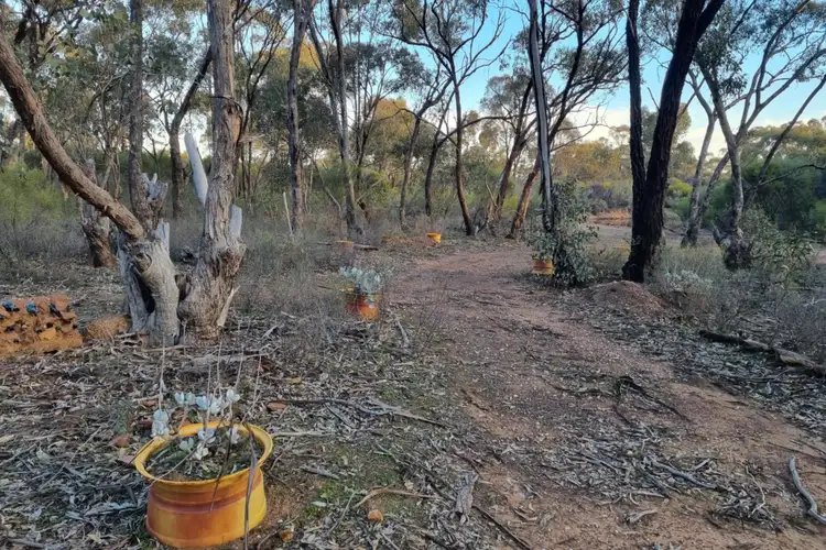 Third view of Homely rural property listing, LOT 2LP Josephine Drive, Wedderburn VIC 3518