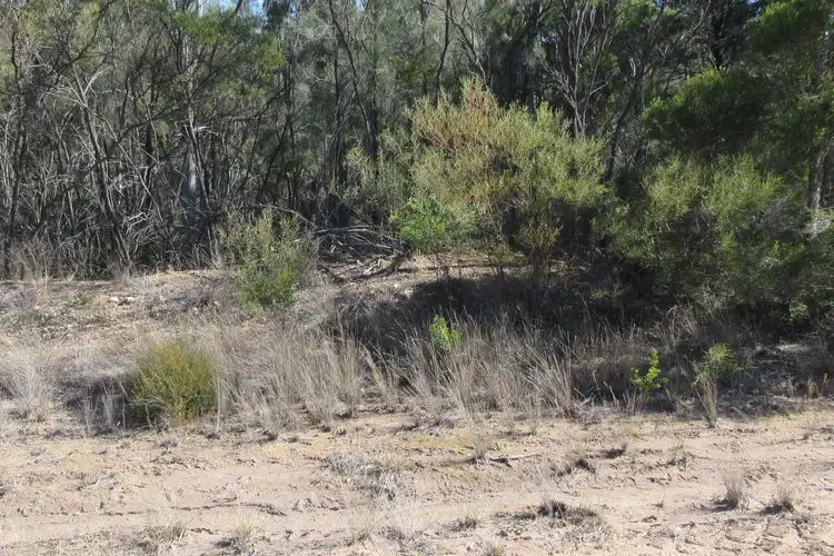 Second view of Homely rural property listing, Lot 10 Bennett School Road, Tara QLD 4421