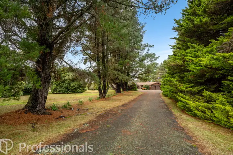 Third view of Homely house listing, 201 Canobolas Road, Orange NSW 2800