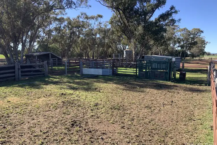 Sixth view of Homely rural property listing, 195 Curra Lane, Peak Hill NSW 2869