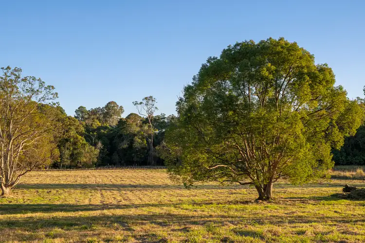 Third view of Homely land listing, LOT 5, 116 Thrushs Road Road, Dulong QLD 4560