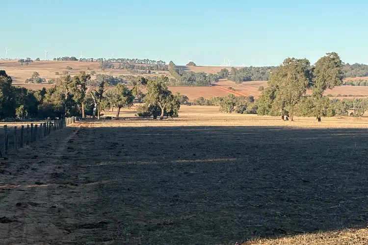 Fifth view of Homely rural property listing, 342 Badgingarra Road, Dandaragan WA 6507