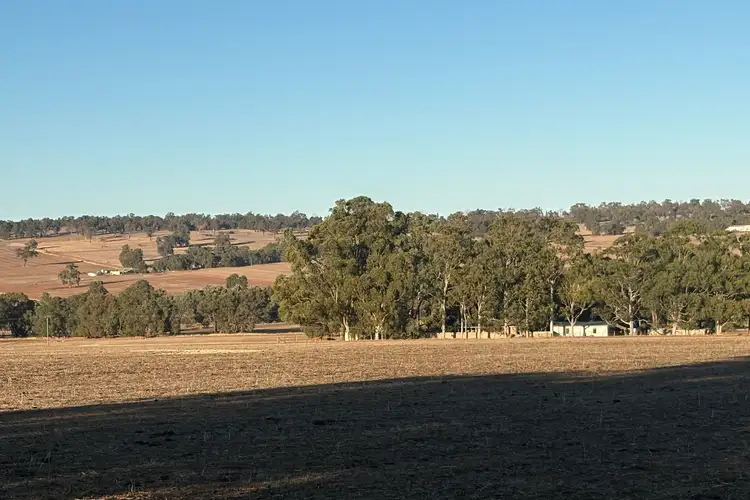 Seventh view of Homely rural property listing, 342 Badgingarra Road, Dandaragan WA 6507
