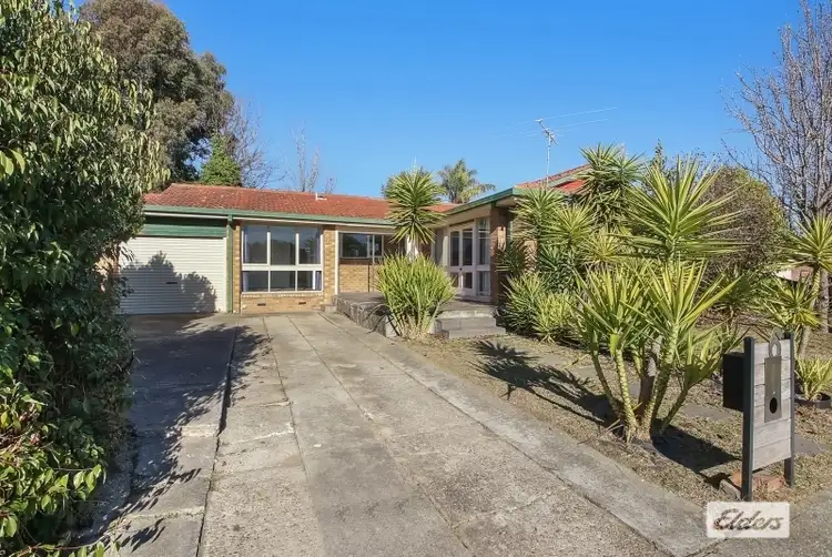 Main view of Homely house listing, 6 Amaroo Crescent, Wodonga VIC 3690