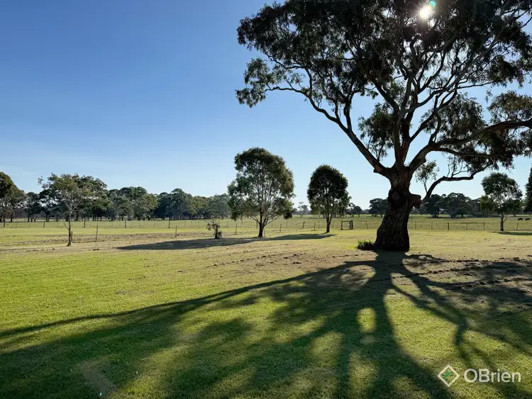 Sixth view of Homely house listing, 85 Williamson Road, Forge Creek VIC 3875
