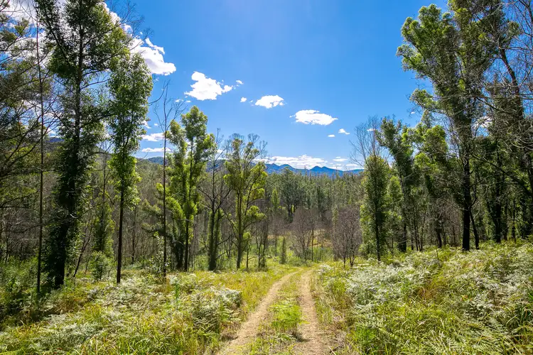 Sixth view of Homely rural property listing, 1584 Nulla Nulla Creek Road, Bellbrook NSW 2440