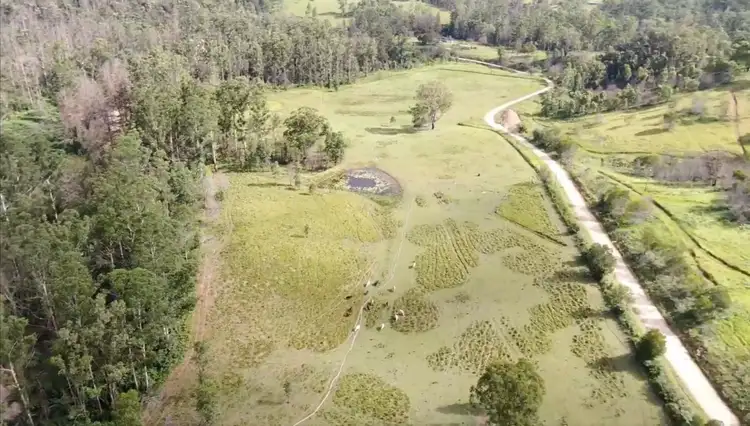 Seventh view of Homely rural property listing, 1584 Nulla Nulla Creek Road, Bellbrook NSW 2440