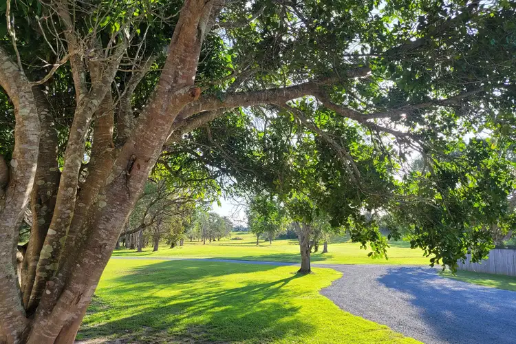 Third view of Homely land listing, 1126 Pottsville Road, Pottsville NSW 2489
