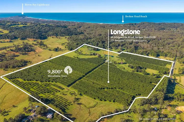 80 Midgen Flat Road, Broken Head NSW 2481