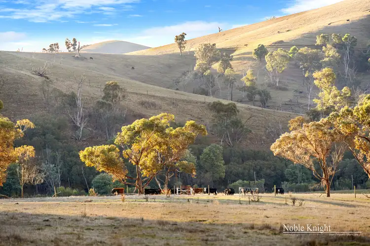 Seventh view of Homely rural property listing, 3943 Melba Highway, Glenburn VIC 3717