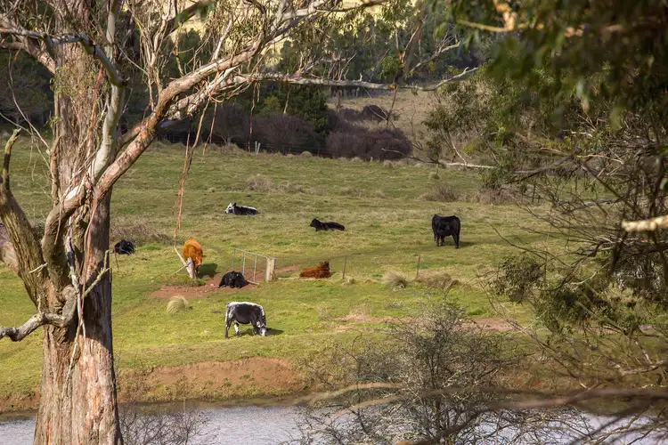 Third view of Homely rural property listing, 1211 Old South Road, Bowral NSW 2576