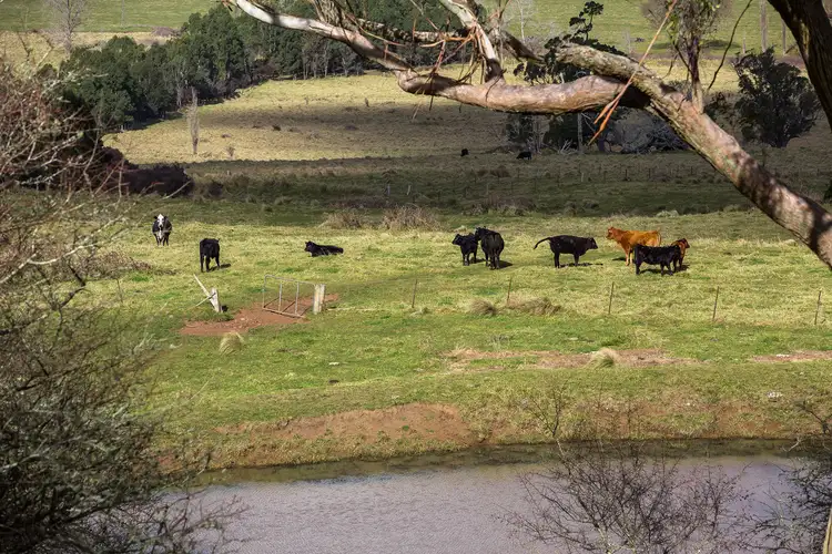 Sixth view of Homely rural property listing, 1211 Old South Road, Bowral NSW 2576