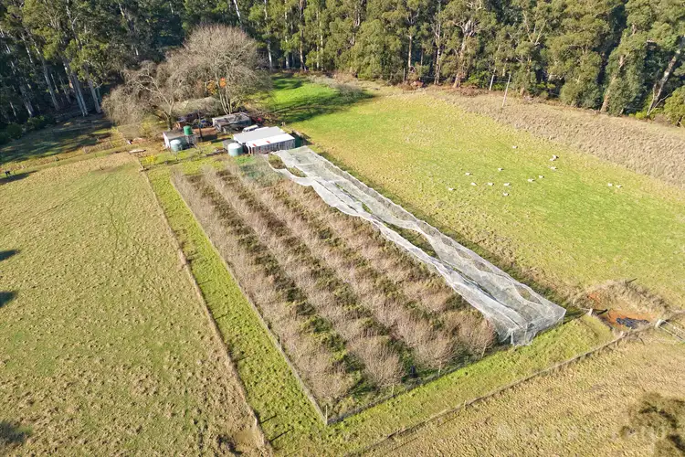 Third view of Homely house listing, 160 David Hill Road, Monbulk VIC 3793