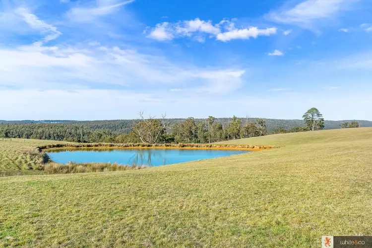 55 Coombs Road, Kinglake West VIC 3757