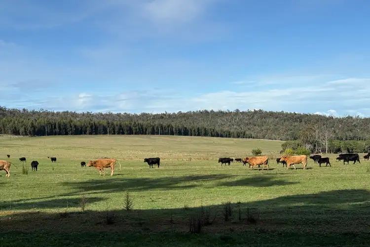 Second view of Homely rural property listing, 228 Peppermint Grove Road, Middlesex WA 6258