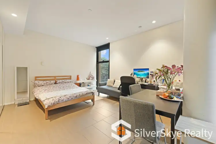 217.1/8 Central Park Avenue, Chippendale NSW 2008