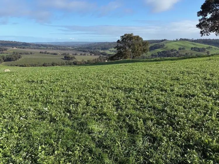 Sixth view of Homely rural property listing, LOT 131 &, Prop Lot Chapman & Mandalay Road, Glen Mervyn WA 6239