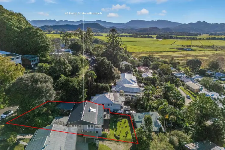 Second view of Homely house listing, 43 Ewing Street, Murwillumbah NSW 2484