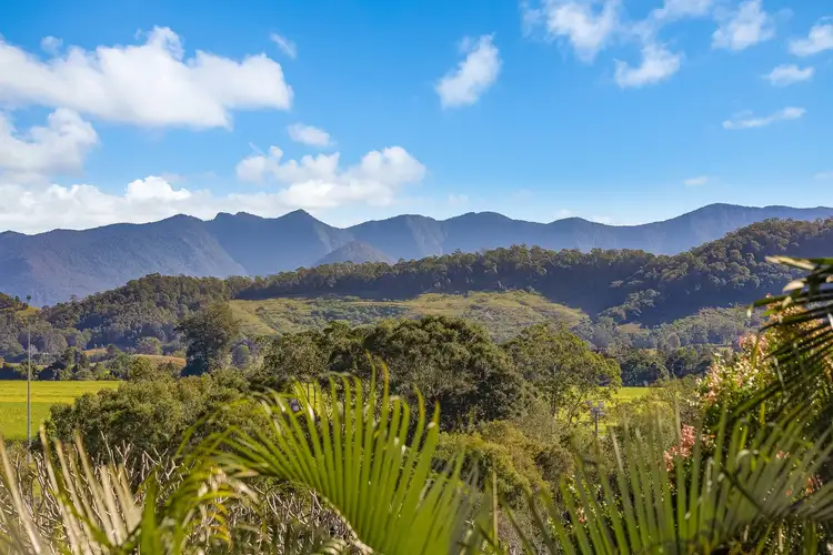 Fifth view of Homely house listing, 69 Ewing Street, Murwillumbah NSW 2484